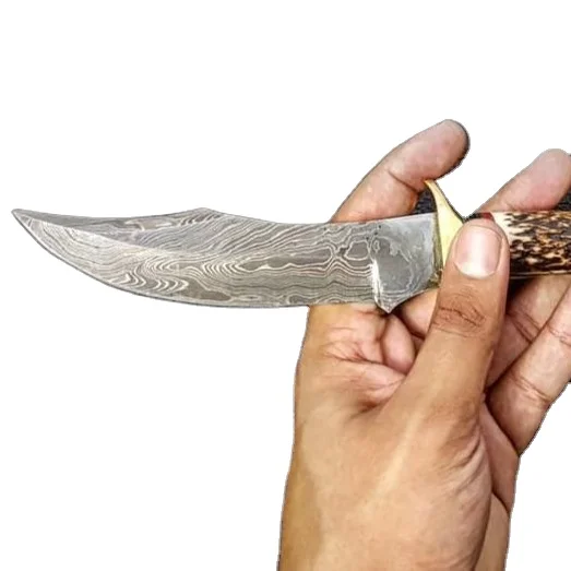 
 Fix Blade Damascus Hunting Knife with Stag Horn  