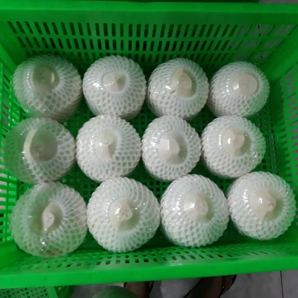 Young Fresh Coconut for Summer Drinks OEM Bulk Packing Whole Husk Tropical Coconut Water Refreshing Fruit Juice