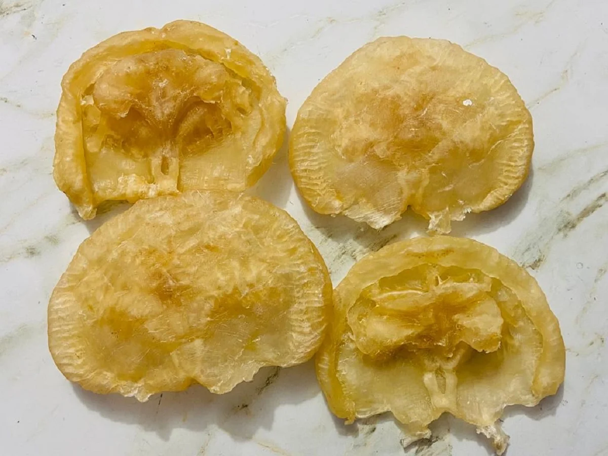 Premium Quality Cat Fish Maw Wholesale Organic Catfish Maw Big Size 50-250gm Dried Fish Maw in Bulk From Bangladesh