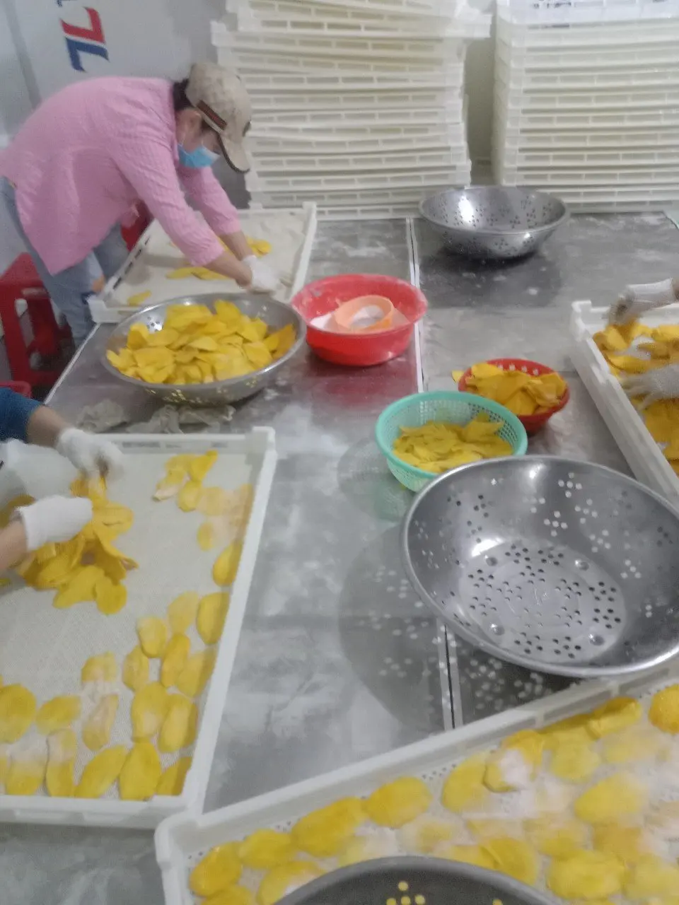 Soft Dried Mango Slices Manufacturers Wholesale Delicious Vietnam Exporter Soft Dried Mango No Tar Color