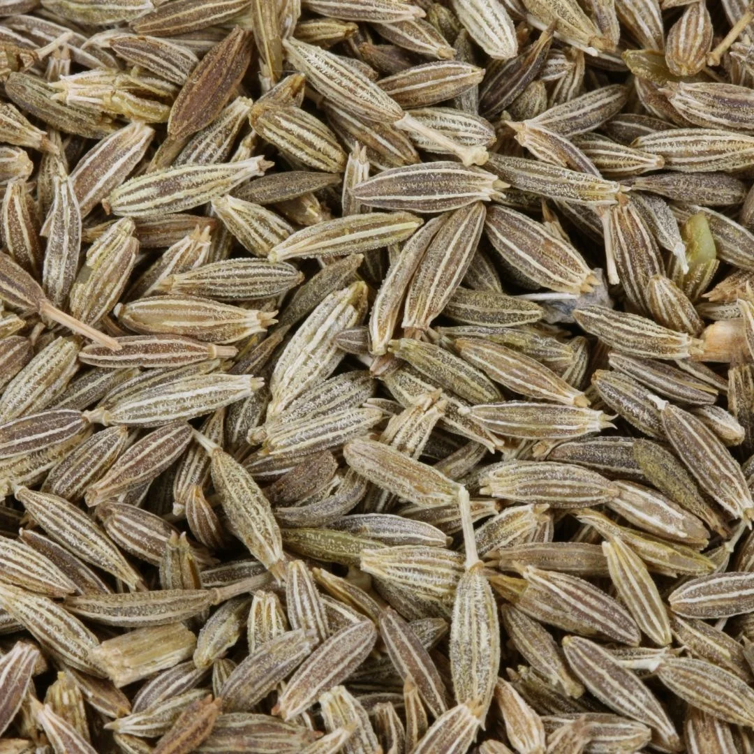 Export Natural Organic Cumin Seeds wholesale Price Spice Herbs Food Grade Cumin Seeds In Bulk Quantity