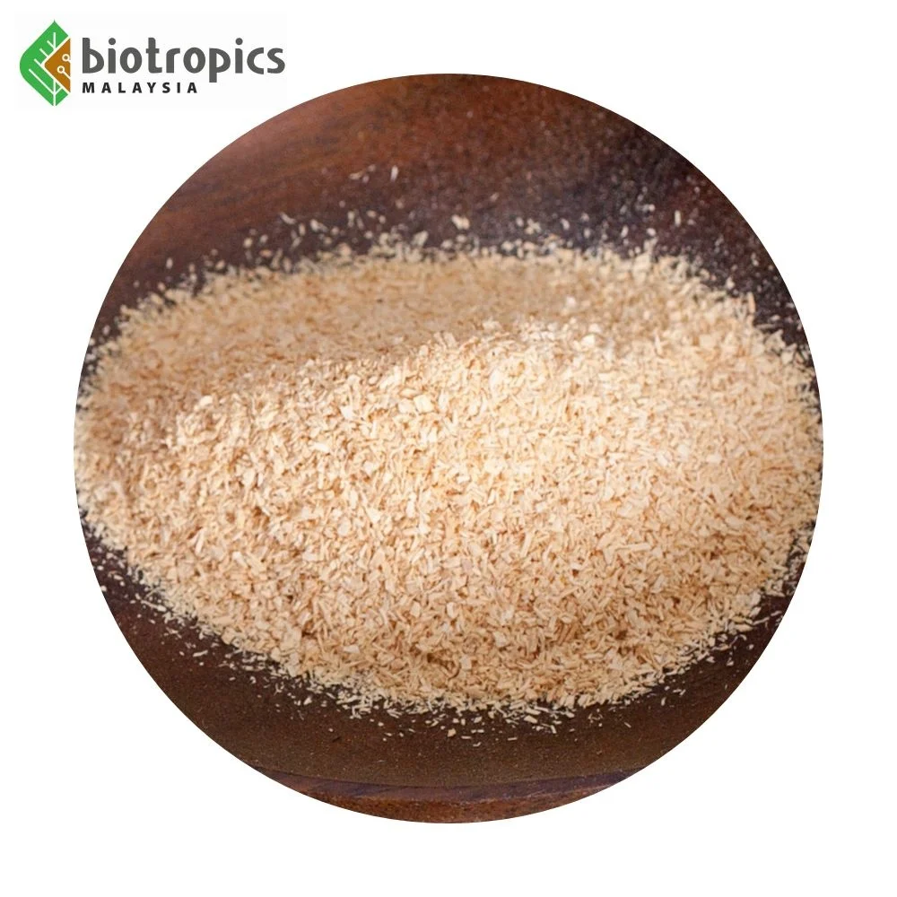 New Multi Benefit Herbal Root Extract Eurycoma Longifolia (Tongkat Ali) in Powder Form for Easy Formulation from Malaysia