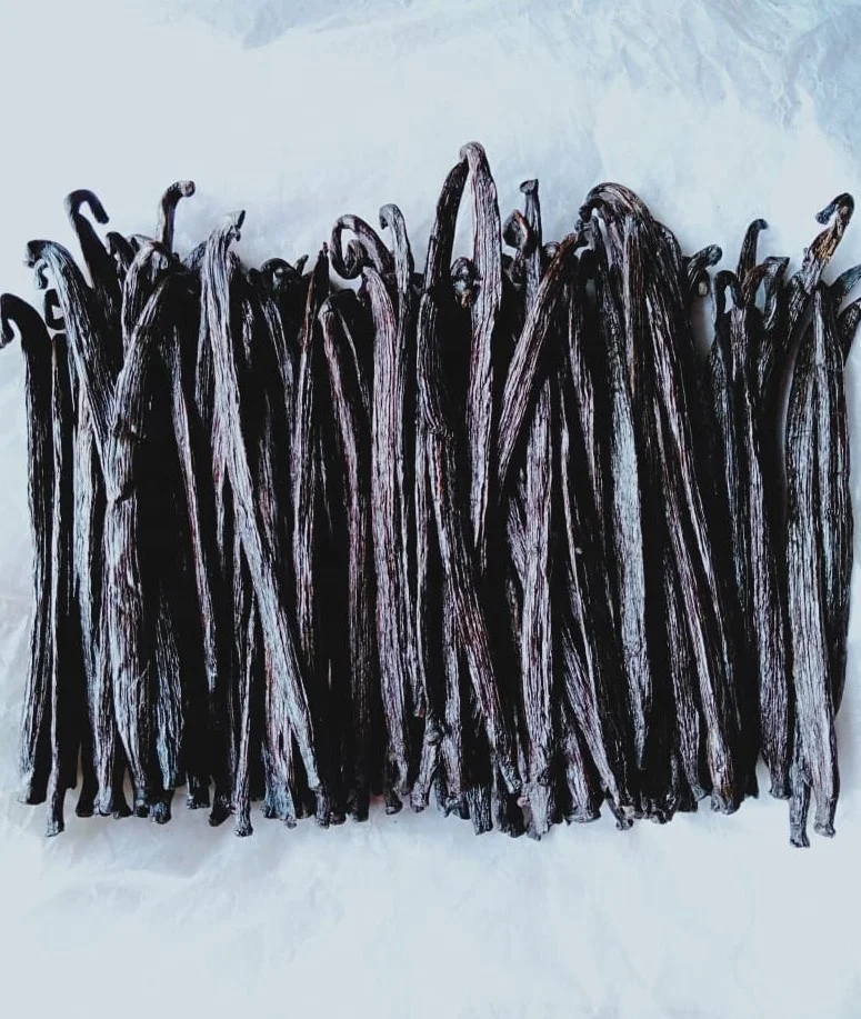 RENDAH TAHITENSIS GRADE-2 14-15.9 CM VANILLA BEANS for EXTRACTION Premium Quality Indonesian Papua Hot Selling with Best Price