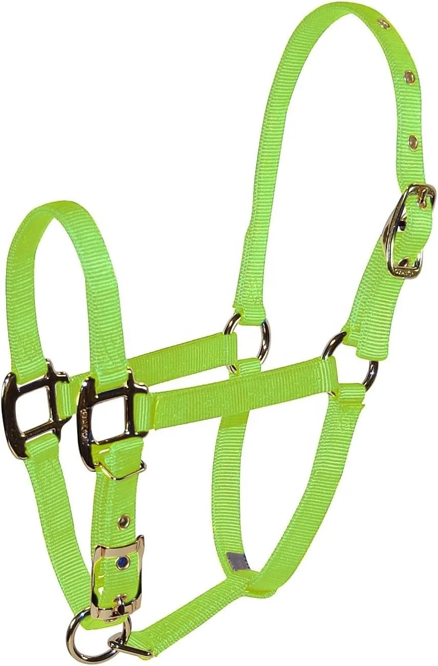 8D SMNV 3/4-Inch Nylon Arabian Horse Halter for 500 to 800-Pound Horse  English Saddle Halters From India