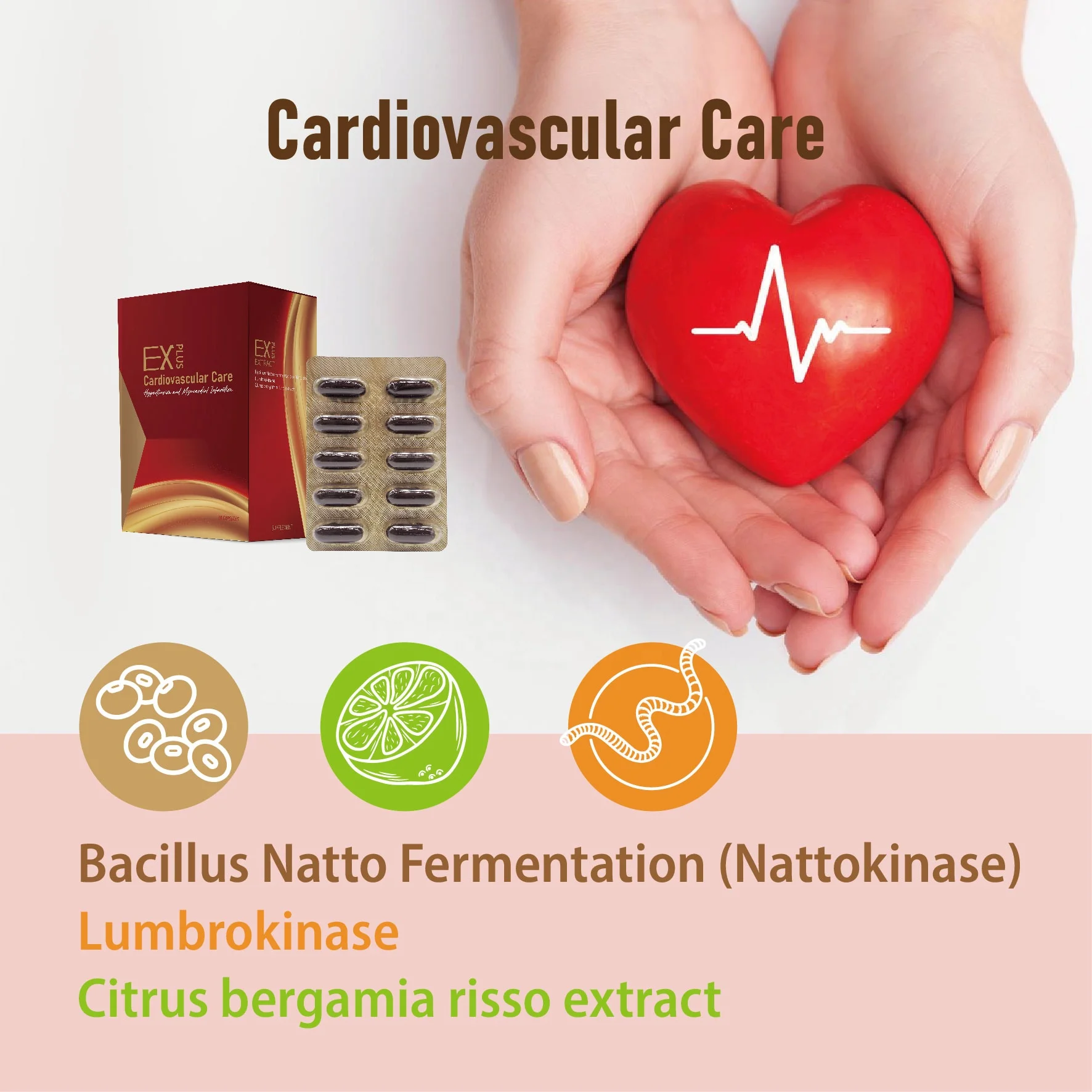 OEM ODM Private label Cardiovascular healthcare Natto fermentation Capsules