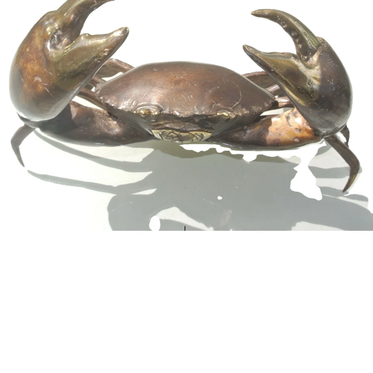 Hot Sale Live Mud Crabs, Blue Crabs, King Crabs /Live Seafood/ Frozen King Crab