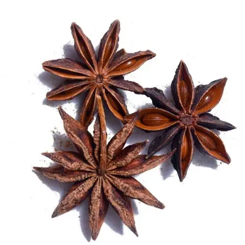 Meilleur Choix Anis Etoile Nouvelle Recolte Epices Fleur Sechee Anis Etoile Star Anise Aniseed Autumn Spring Seasoning - ANNA DO