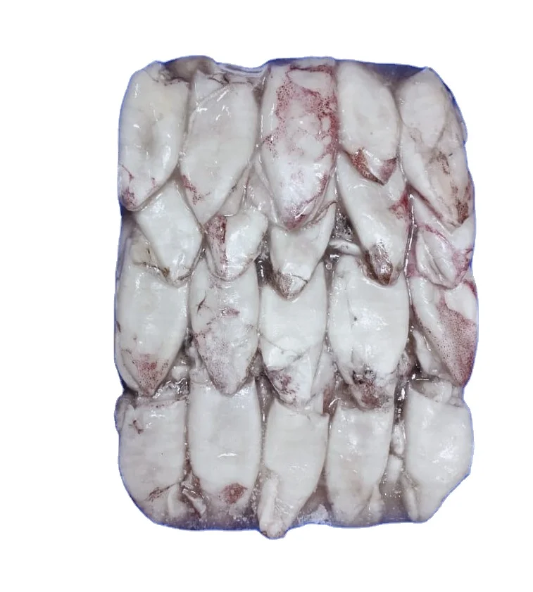 FROZEN BABY SQUID WHOLE ROUND 80 UP SIZE INDIVIDUAL QUICK FROZEN  FROM INDIAN ORIGIN
