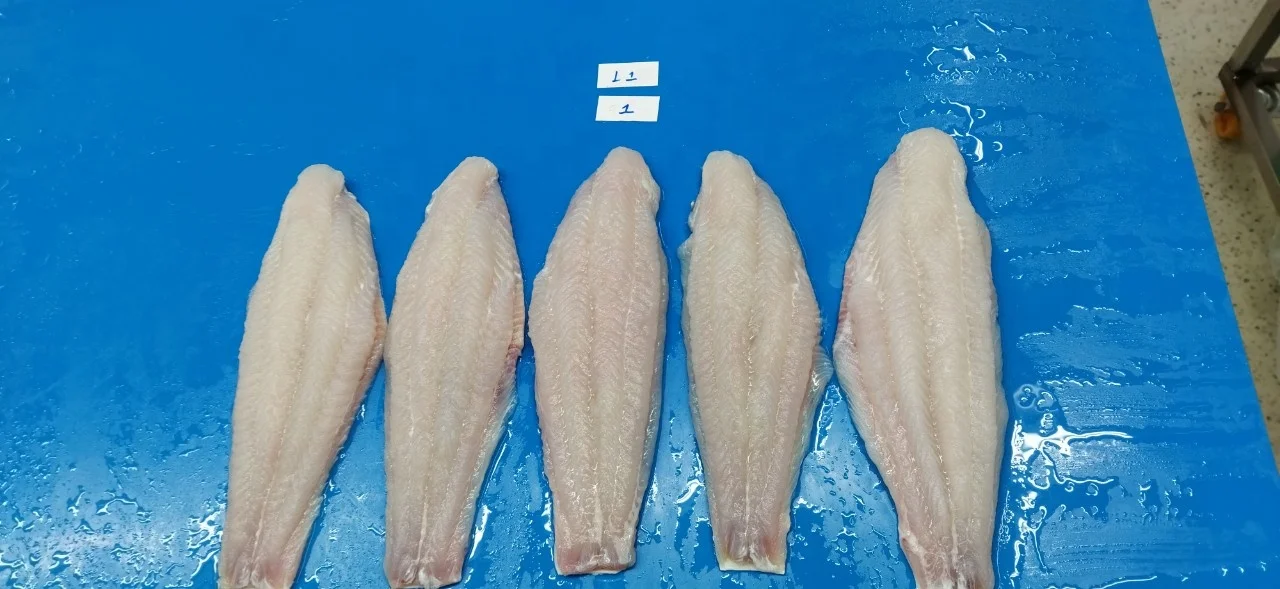 FROZEN PANGASIUS FISH FILLET  /BASA FISH FILLET SKIN ON FROM VIETNAM