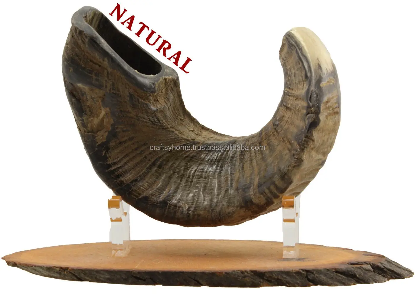 Оптовая продажа рог Shofar натурального цвета высокого качества для украшения дома ручной работы Ram