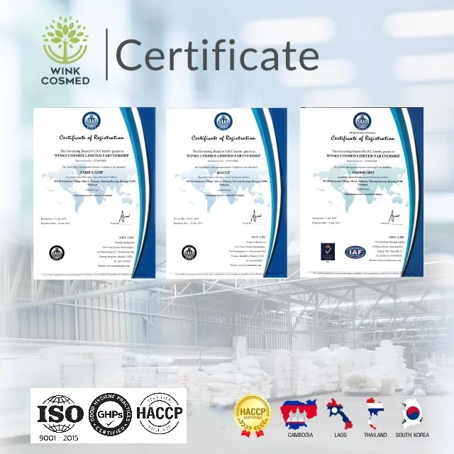 Private Label Rice Milk Sunscreen Soft and Creamy Sun Milk SPF50 PA+++ Sebum-Free Non-Sticky Long Lasting Protection OEM ODM