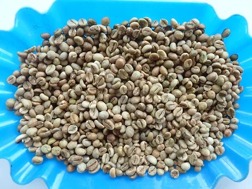 Ready to Ship 100% Top Quality Robusta grade 2 screen 13 - Raw Coffee Beans from Viet Nam Robusta Coffee Bean Exporter