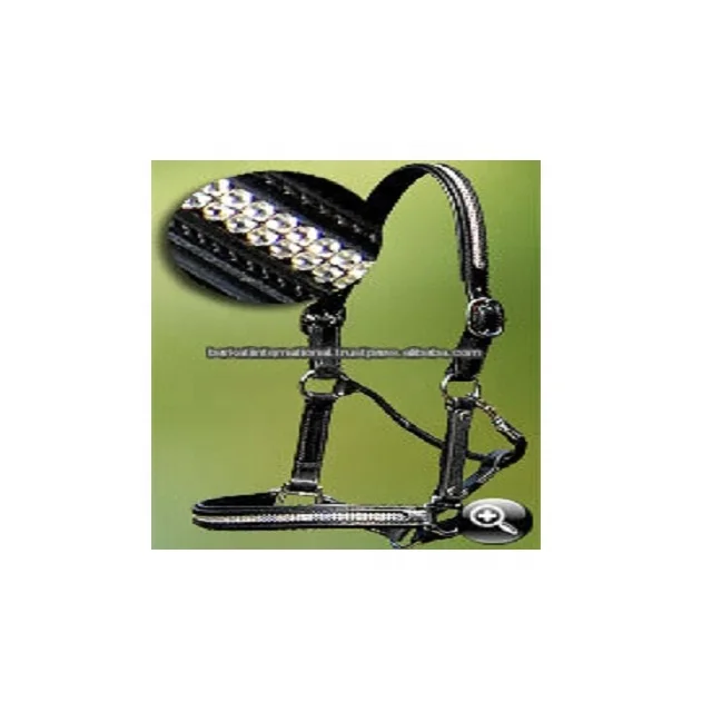 Horse Leather Bling Halters.