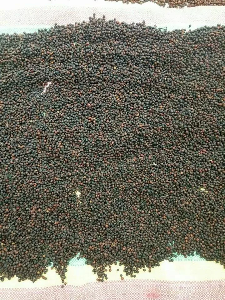 
Dried Organic Black Pepper High Quality Black Dry Pepper With Good Price 