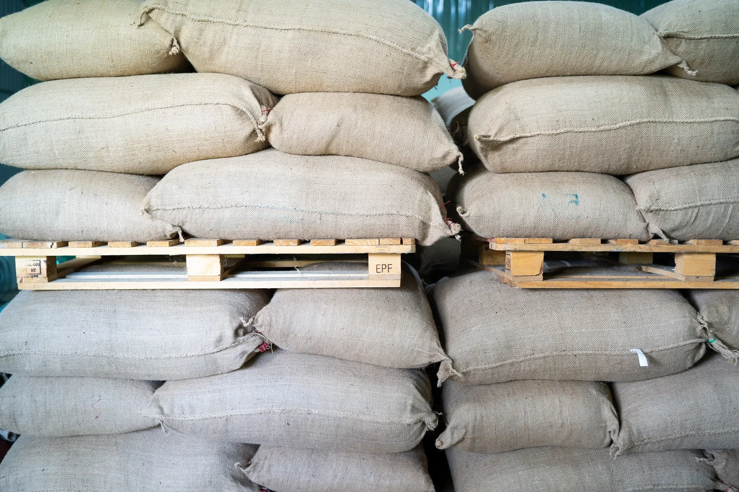 Вьетнамская зеленая фасоль ROBUSTA ARABICA кофе Лучшая цена Хорошее качество S16 S18 чистый сорт 1 упакован в мешок 60 кг