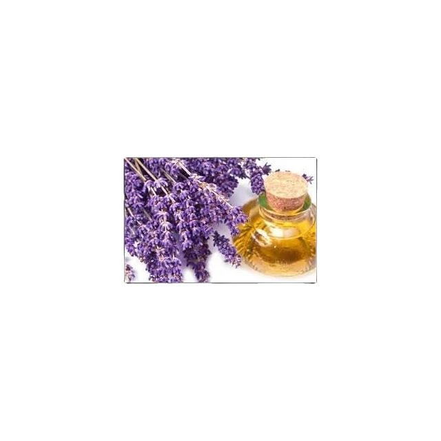 Lavender Essential Oil for Aromatherapy High Quality Wholesale Essential Oils Set Reed Diffuser Oil