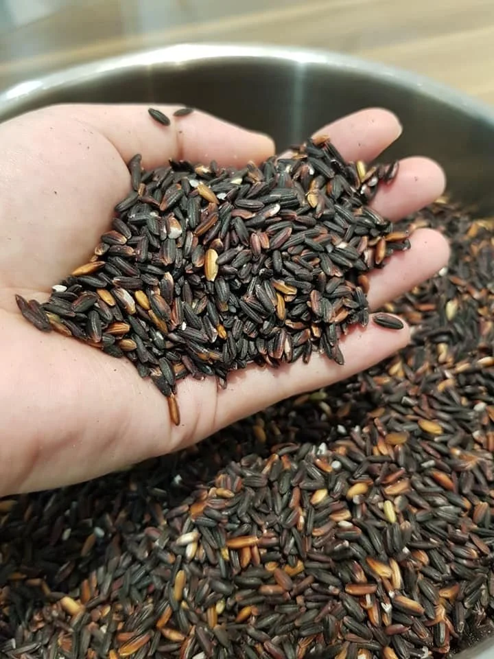 Вьетнамская еда богатый питательный органический черный рис для вкусной еды высокое качество Лучшая цена оптовая продажа