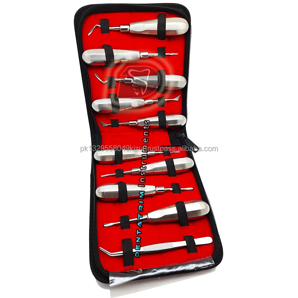 10 Piece Dental Root Elevators Set Dental Root Elevators Custom Logo Stainless Steel CE Certified Dental Surgical Instruments