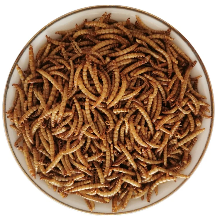 Microwaved dried mealworm bird food pets food animal food