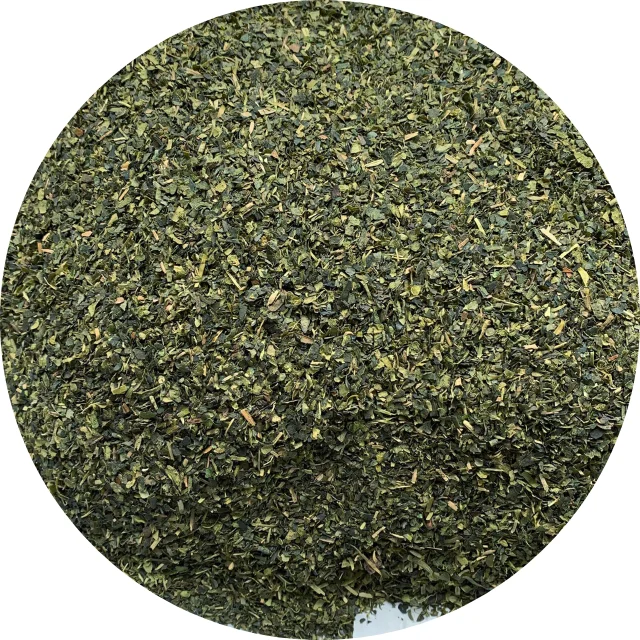 Fresh and Healthy green weight loss green tea for making herbal and organic tea bags at wholesale price