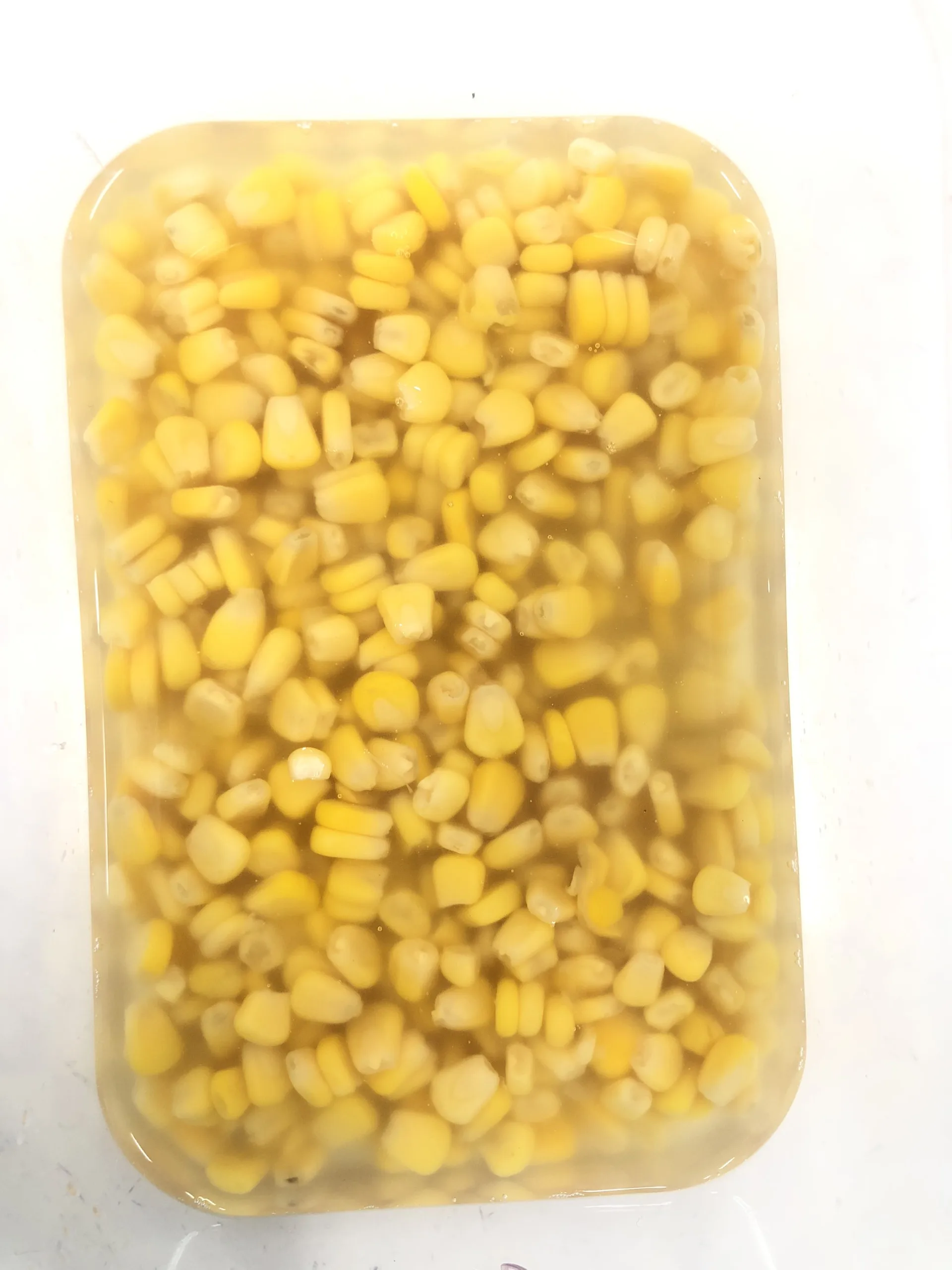 Best price new crop of canned sweet corn/ whole kernel corn with normal lid for wholesale OEM