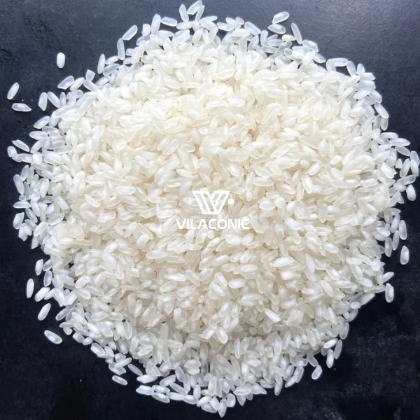 BEST SELLING CAMOLINO MEDIUM-GRAIN RICE FROM VIETNAMESE SUPPLIER- ANNA DO W/A+84982153058