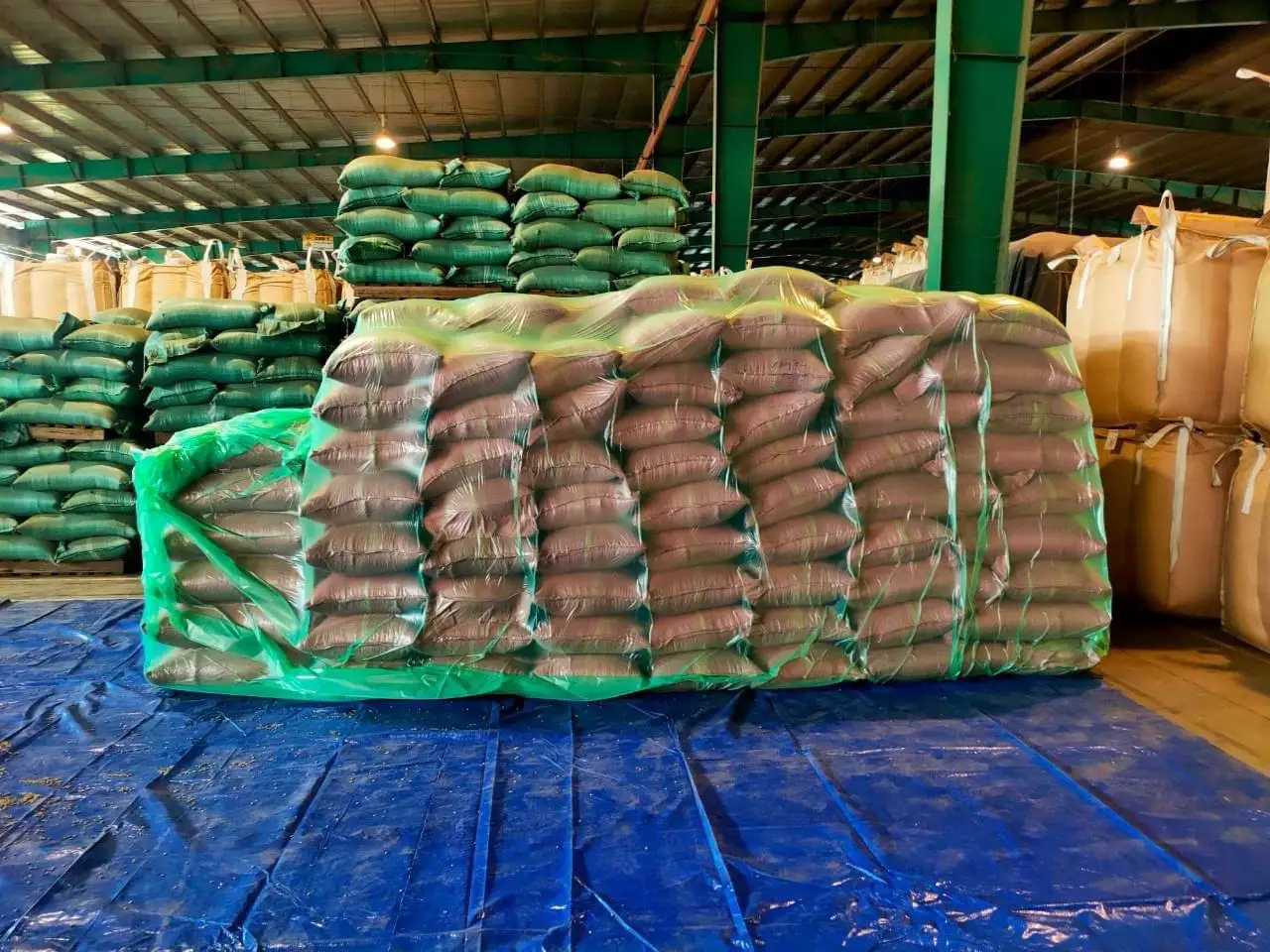 Лидер продаж вьетнамские зеленые кофейные зерна Robusta Arabica цельные бобы полезный жареный кофе конкурентоспособная цена готовый импорт