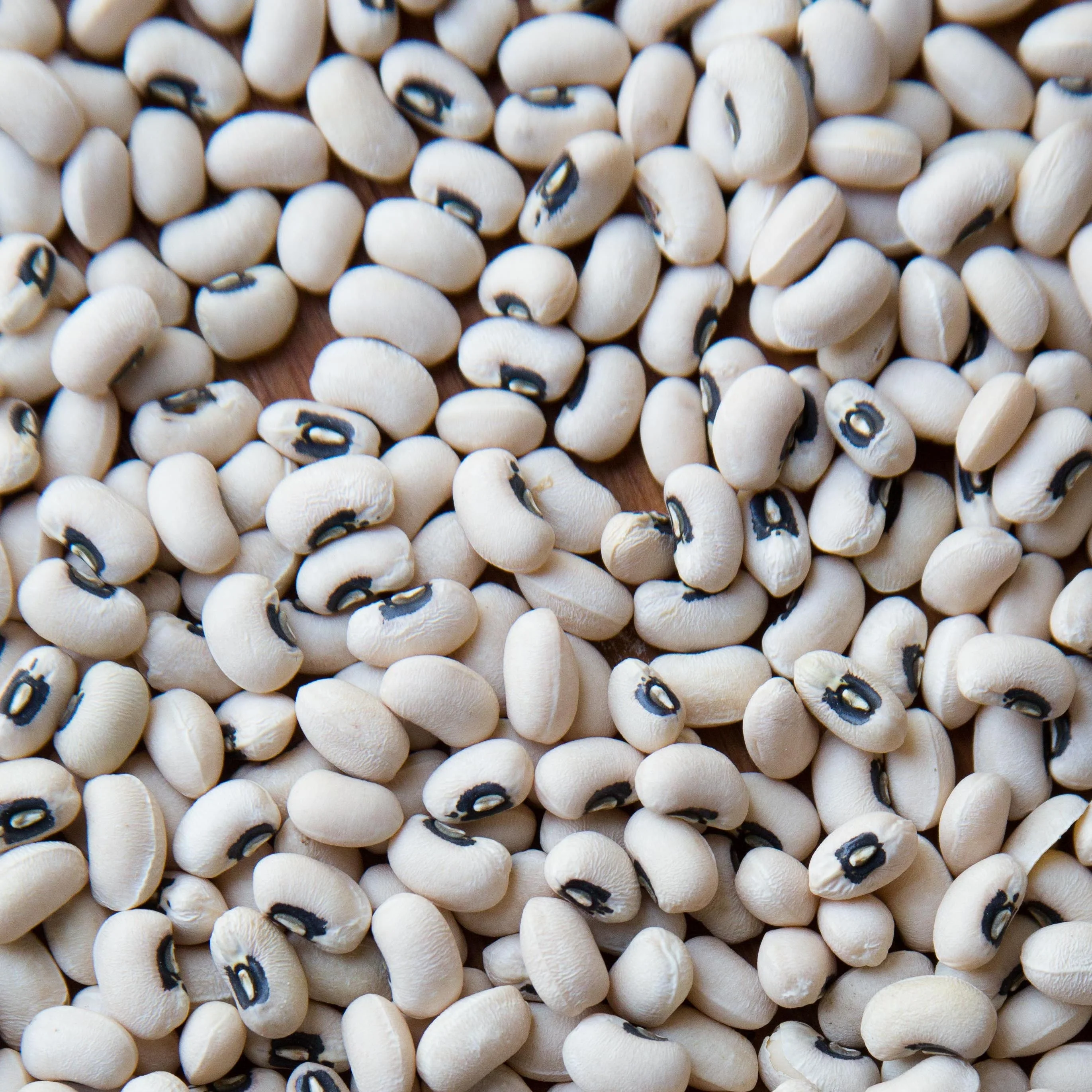 GRAIN Organic Good quality brown/black eye beans