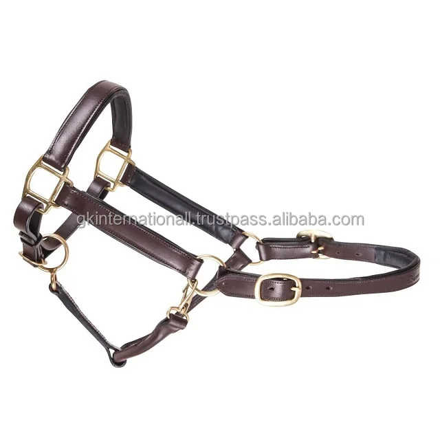 Full adjustable Heavy duty extra comfort padded leather horse halter double crown buckle rolled throat with snap full cob sizes