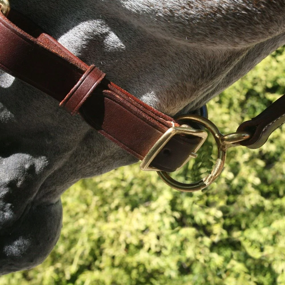 Необычная простроченная мягкая кожа на щеках повязка ногу и Корона со свернутой горловиной бретелькой через шею