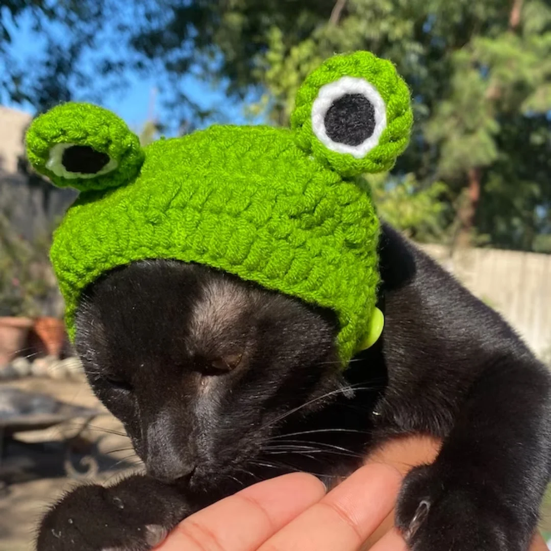 Pet Christmas Hat Cat Dog Cute Head Costume Dog Cartoon Hat  made in Viet Nam HOANG LINH SG Kimy +84938616690