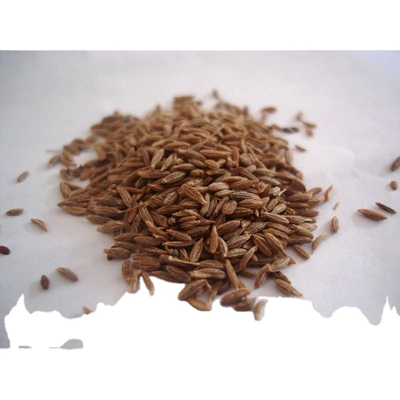 Wholesale Export quality high Quality Dried Cumin best cumin