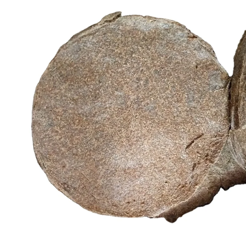 PEANUT OILCAKE FEED / HIGH-PROTEIN ANIMAL NUTRITION / MADE IN VIETNAM