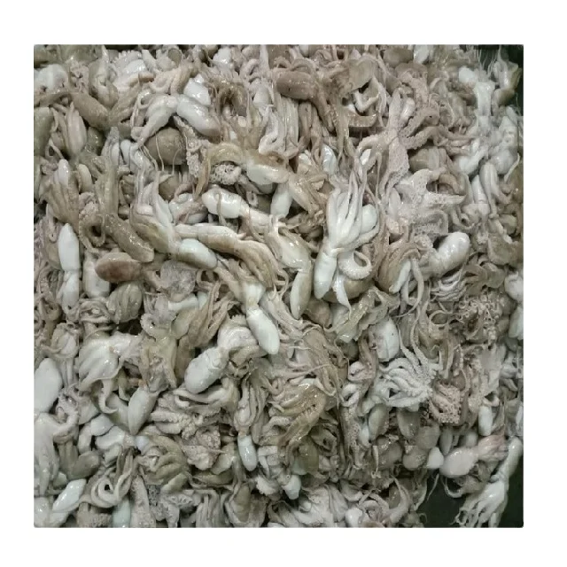TOP QUALITY FROZEN ROUGH SKIN OCTOPUS WHOLE FROM INDIA