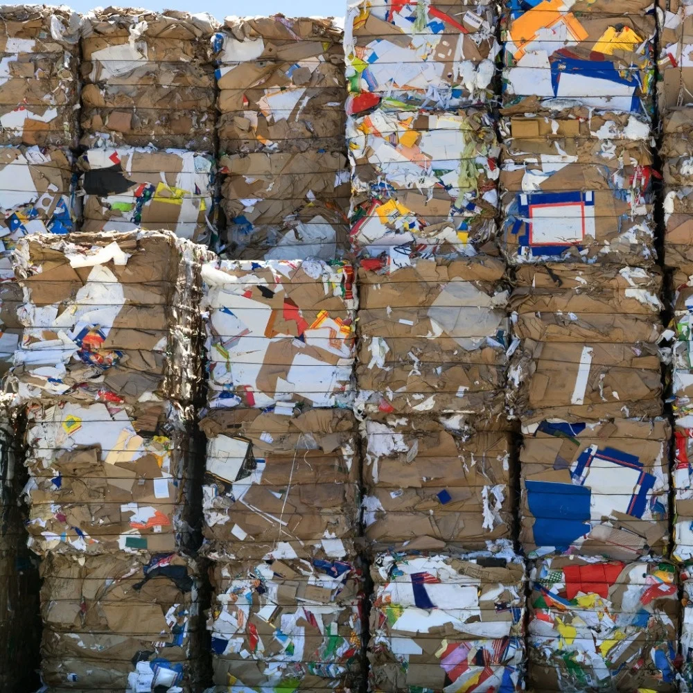 Waste Paper Cardboard & Kraft Paper 100% Cardboard cheap