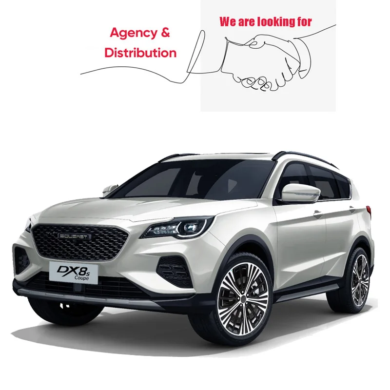 Новый дешевый автомобильный фотоаппарат SOUEAST DX8S Haiwan