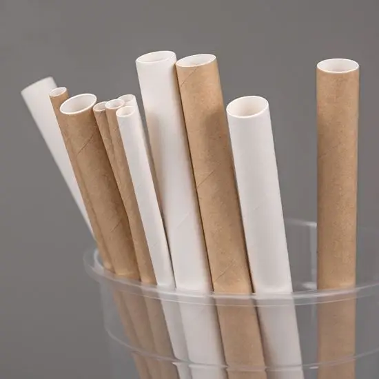 Cheapest Price Non PLA Paper Straws Drinkware Accessories Viet Nam Plain White Paper Straws Wholesales