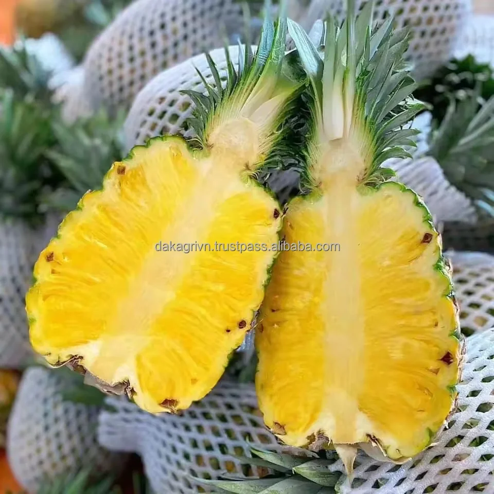 MD2 Pineapples Food Beverage Fresh Natural Sweet Cool Storage Tropical & Sub-Tropical Fruit From Vietnam