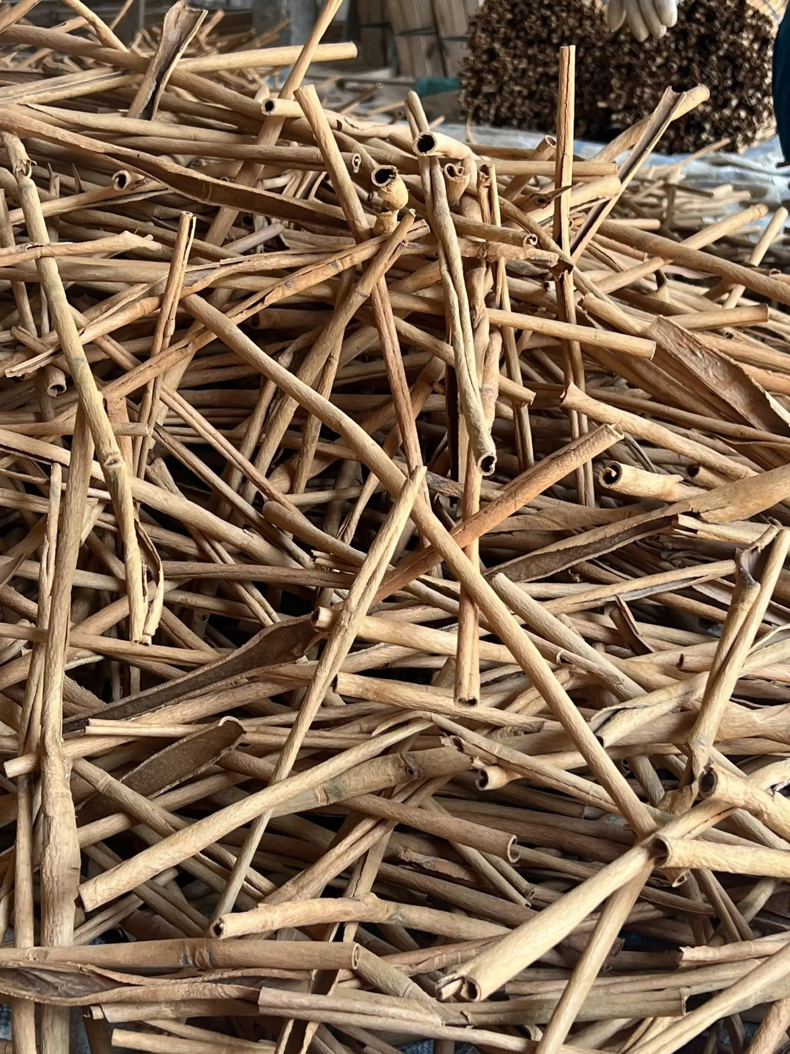 cigarette cassia sticks Hot product spices & herbs100% Natural Dried Cinnamon from Vietnam(+84 393 411 961)