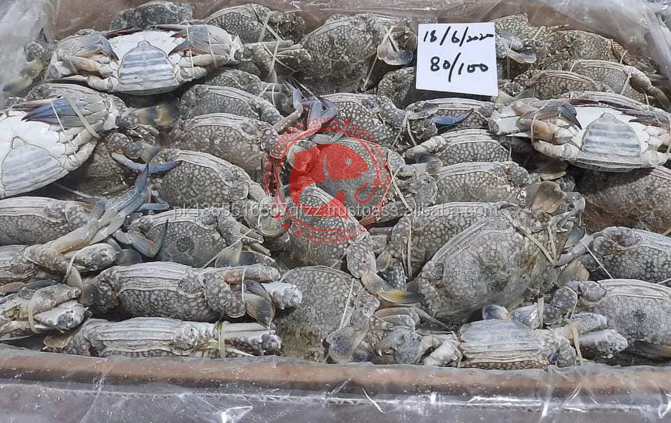 Frozen Blue Swimming Crab Whole Pakistani Origin Whole Blue Swimming Crab For Export in Bulk Quantity