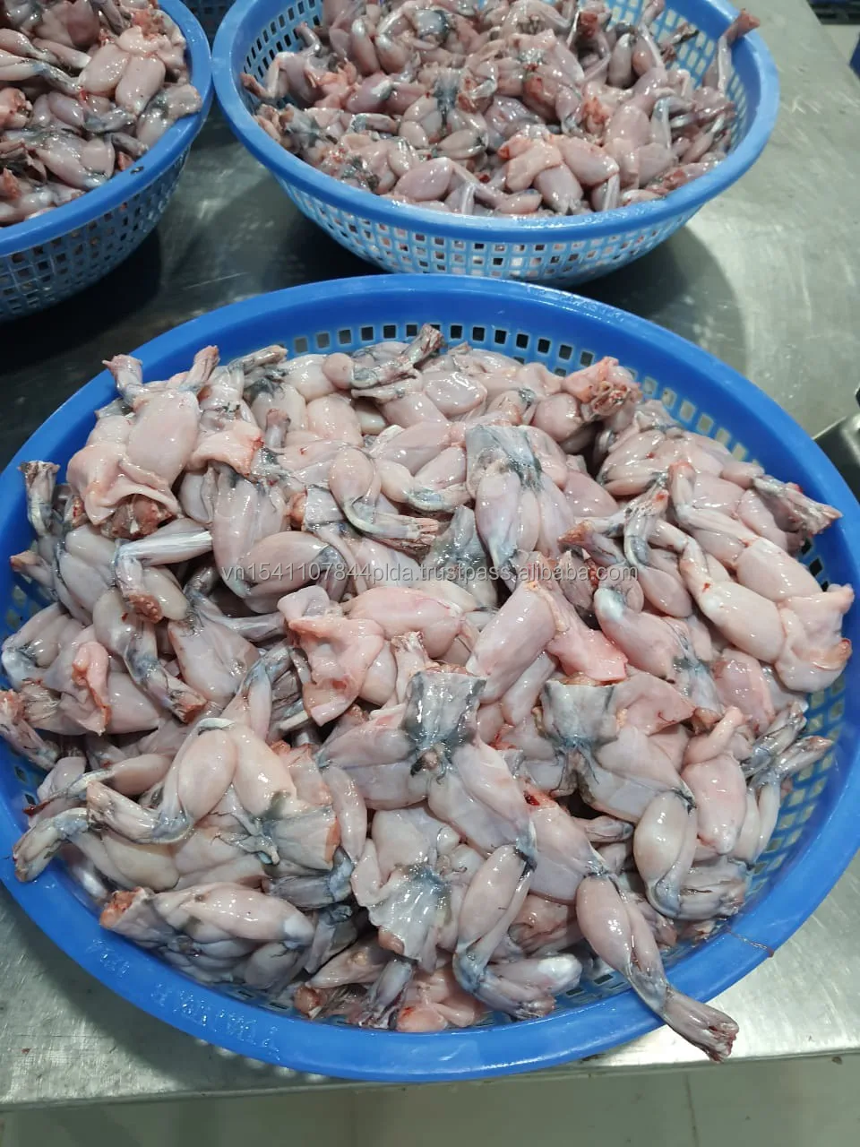 Best selling Frog Legs Frozen Food - no chemicals