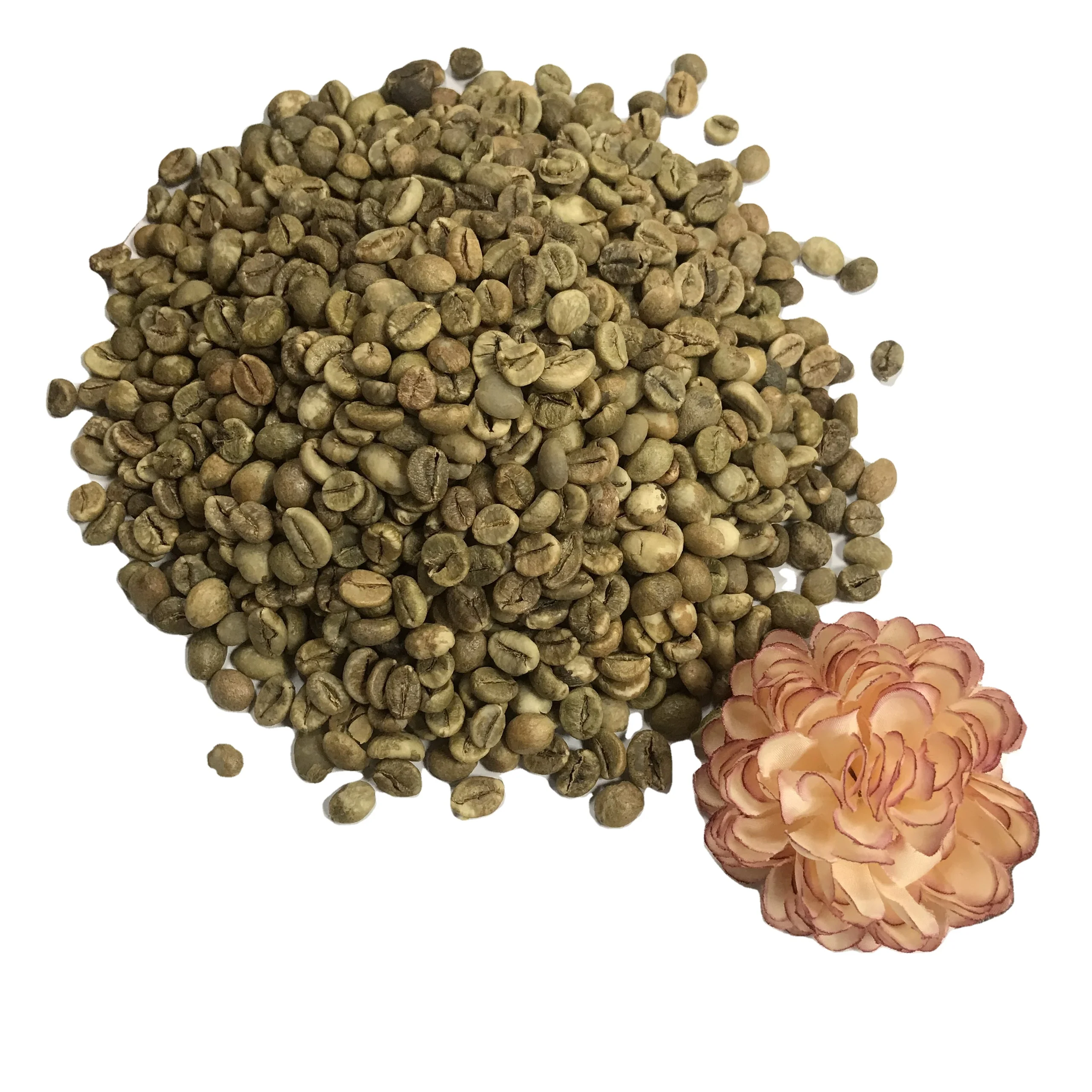 robusta green coffee beans G1 16 screen with high quality and the best price wholesale from Vietnam  84 363565928
