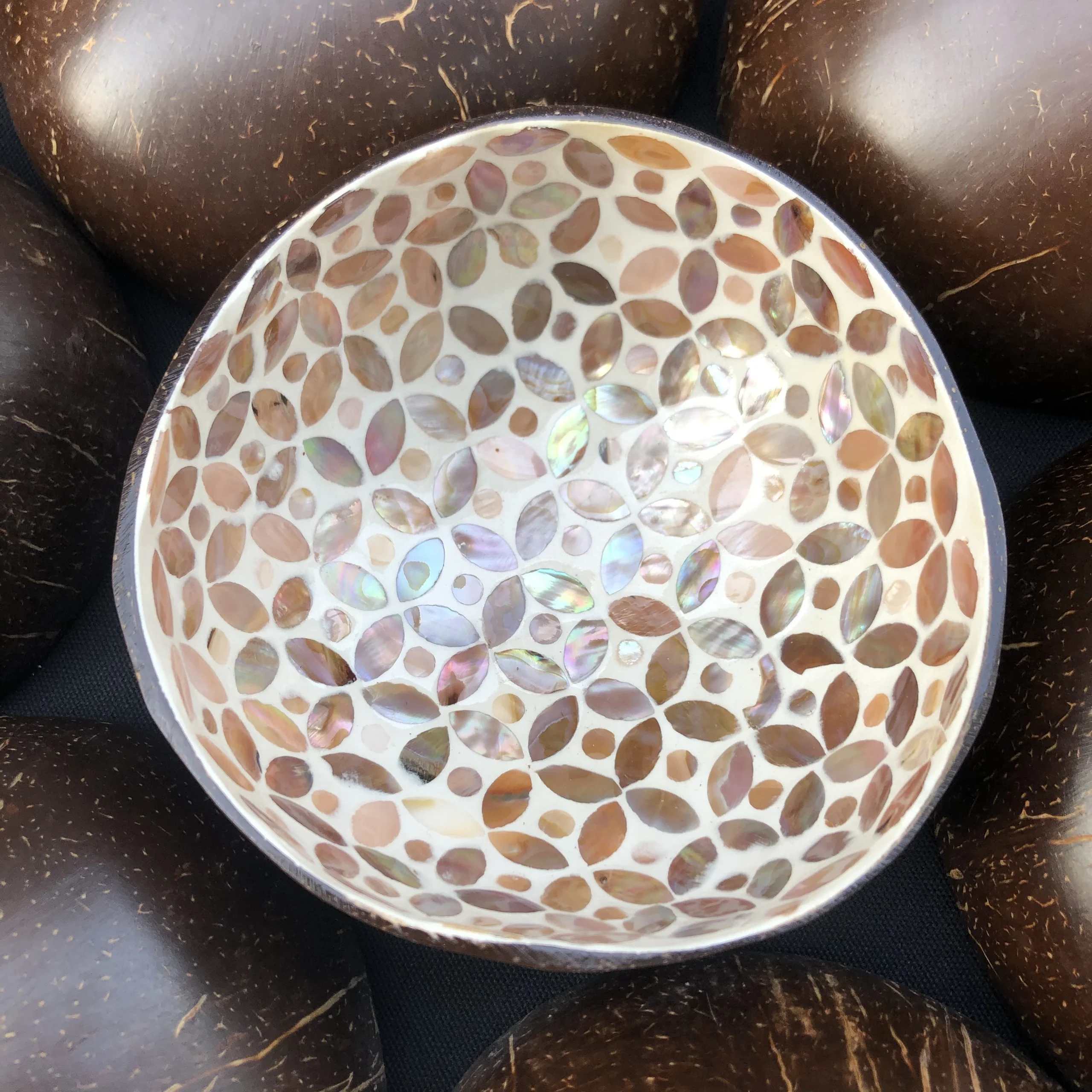 
2021 Hot Natural Coconut Shell Bowl - ATM coached with sea shell in Art - OEM/ODM -Small Order Accepted - Lacquer Seashell Bowl 