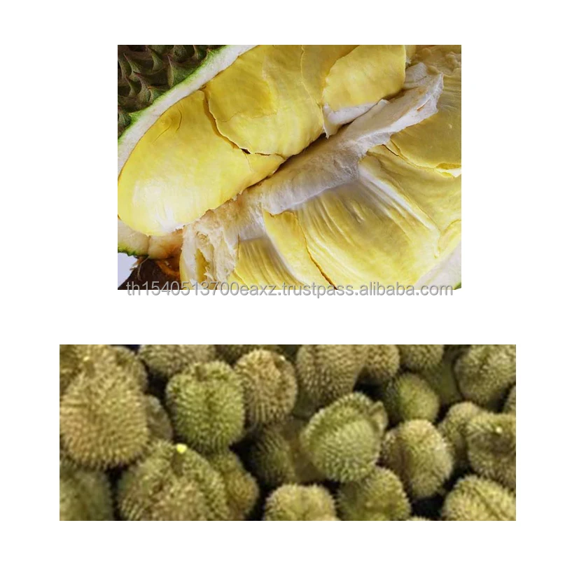 Premium  Durians Monthong from Thailand