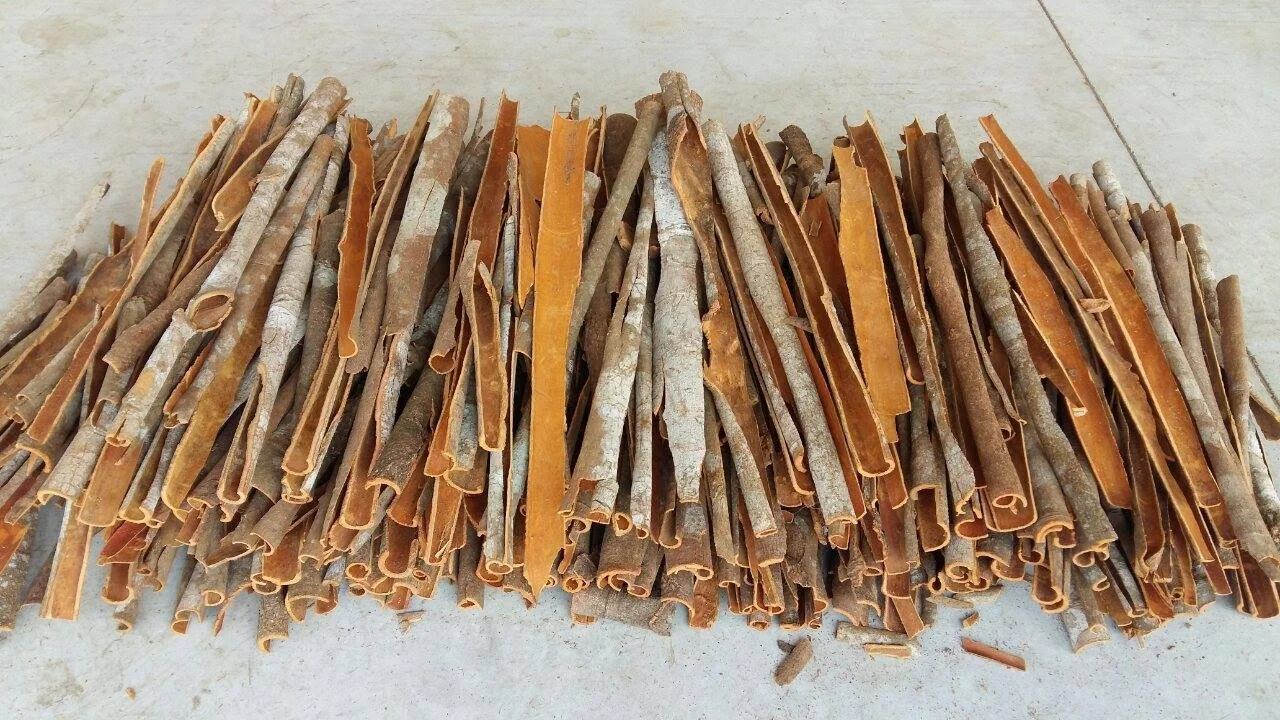 Корица одиночные специи кассия лучшее качество низкая цена сушеные палочки корицы пряные травы и