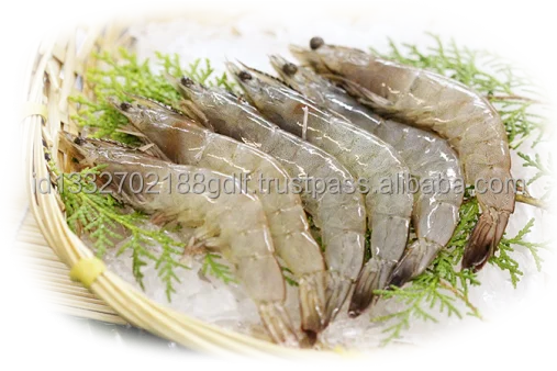 Best Selling Wholesale Price White Shrimp/Fresh Water Prawn/Frozen Vannamei Shrimp Feed From Indonesia