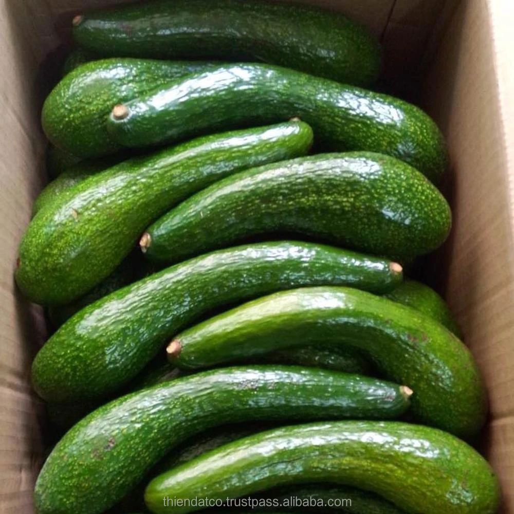 
EXPORTING FRESH 034 VARIETY FROM VIETNAM 