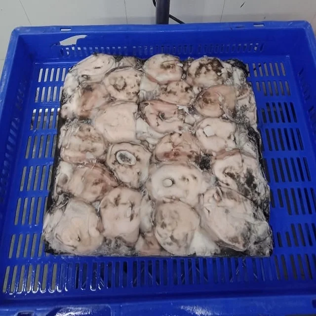 Высококачественная замороженная рыба из Индии