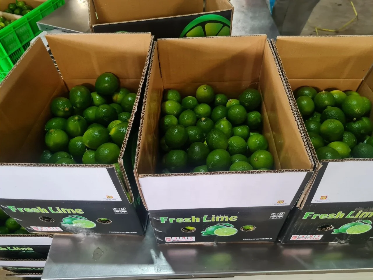 Wholesale Fresh Lime/Lemon Seedless In Viet Nam Sour Taste -- HP 0084 917 476 477