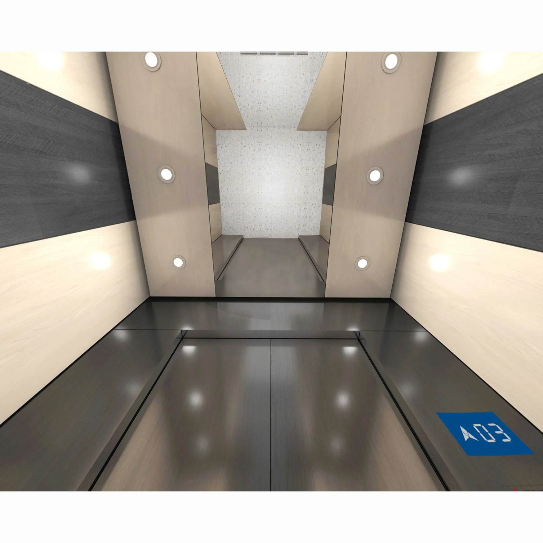 Deluxe Car Design Residential Electric Elevators for Home Interior 3/4/5/6 Floors 4/6/8 Persons